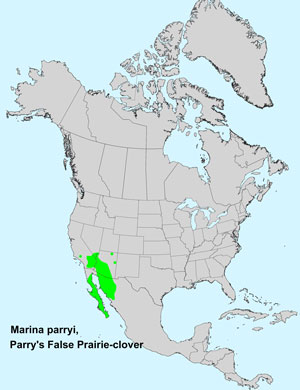 North America species range map for Parry's False Prairie-clover, Marina parryi: